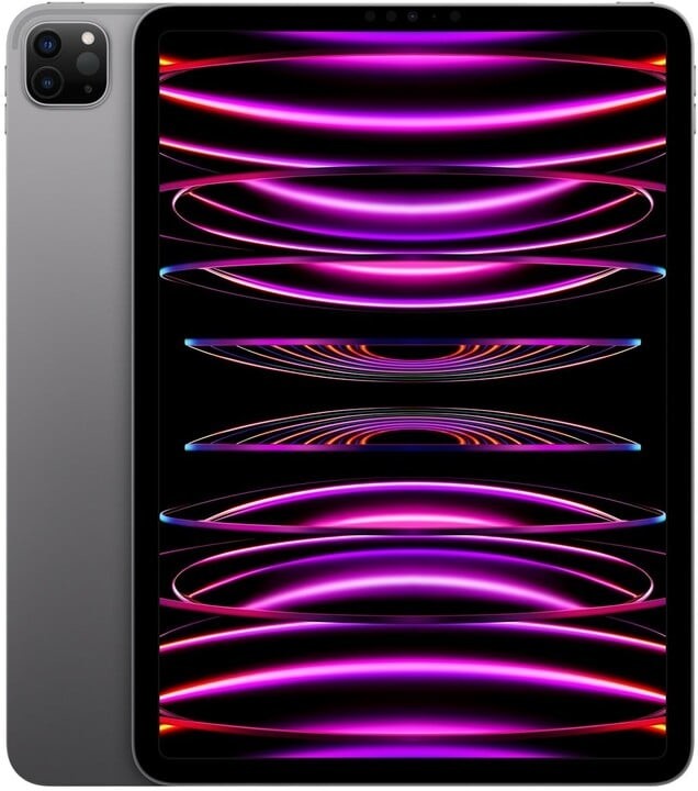 Apple iPad Pro 11 (2022) Wi-Fi+5G 256GB (Ekspozicinė prekė) Gray